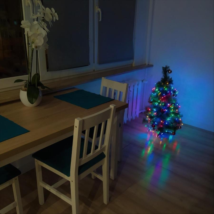 Apartament Torun Dreams Екстер'єр фото